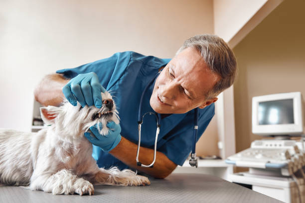 Best Emergency Root Canal Treatment in Sunrise Beach Village, TX